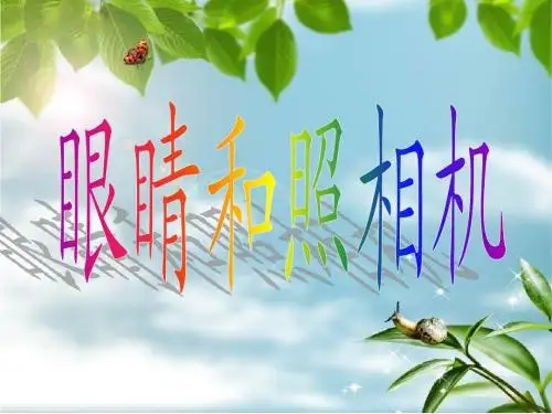 眼睛和照相机--李卓凌