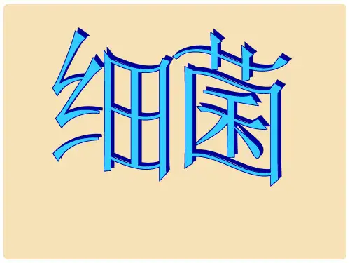 八年级生物上册 第五单元 第四章 第二节《细菌》教学课件 (新版)新人教版
