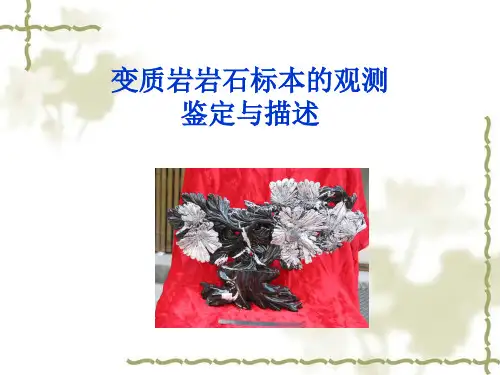变质岩(糜棱岩)岩石标本观测鉴