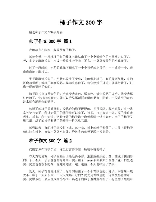 柿子作文300字