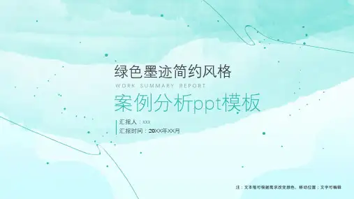 案例分析ppt模板