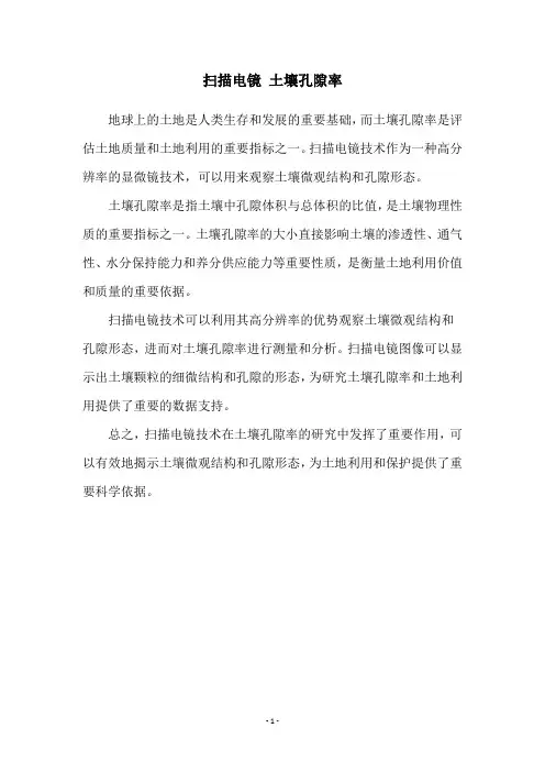 扫描电镜 土壤孔隙率