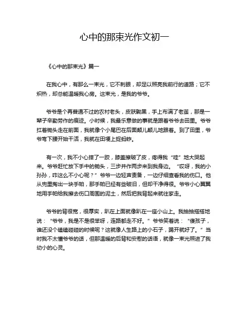 心中的那束光作文初一