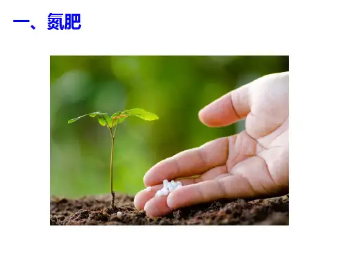 氮、磷、钾肥详解