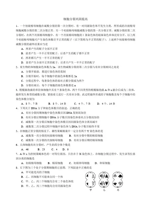 减数分裂综合练习