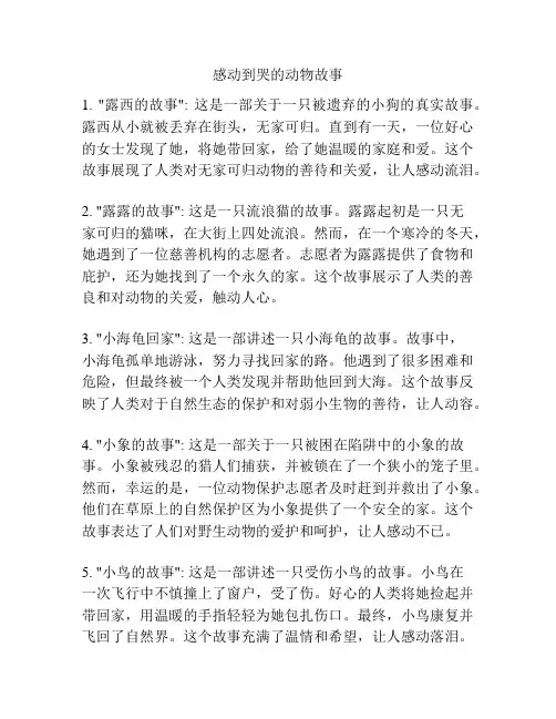 感动到哭的动物故事