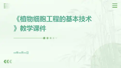 《植物细胞工程的基本技术》教学课件