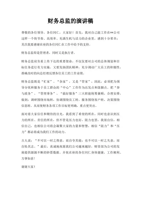 财务总监演讲稿三篇