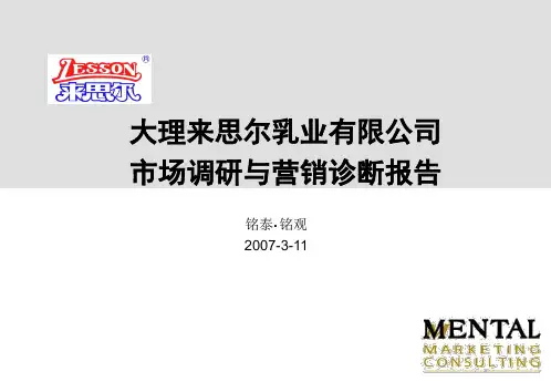 来思尔市场调研与营销诊断报告