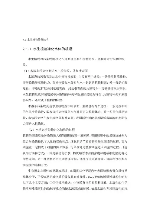 水生植物水体修复技术