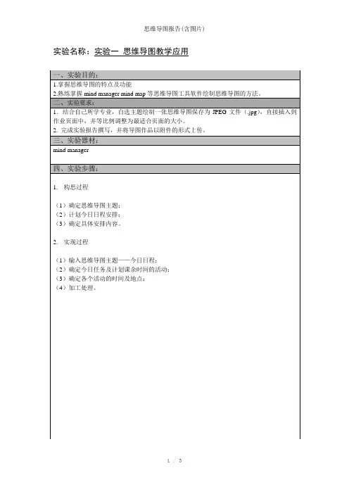 思维导图报告(含图片)参考模板