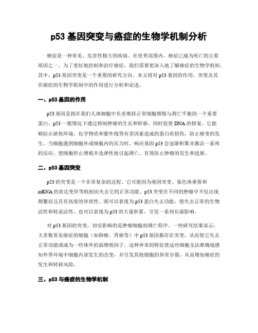 p53基因突变与癌症的生物学机制分析