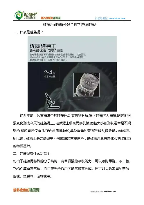 硅藻泥到底好不好？科学讲解硅藻泥!