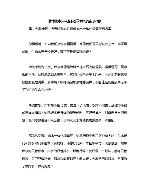 供排水一体化运营实施方案