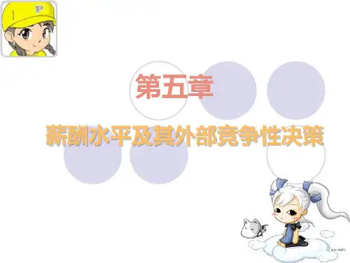 薪酬管理 第五章外部竞争性策略