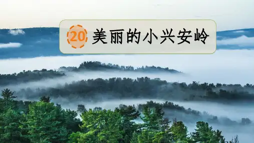 统编版三年级语文上册20美丽的小兴安岭  课件 (共25张PPT)