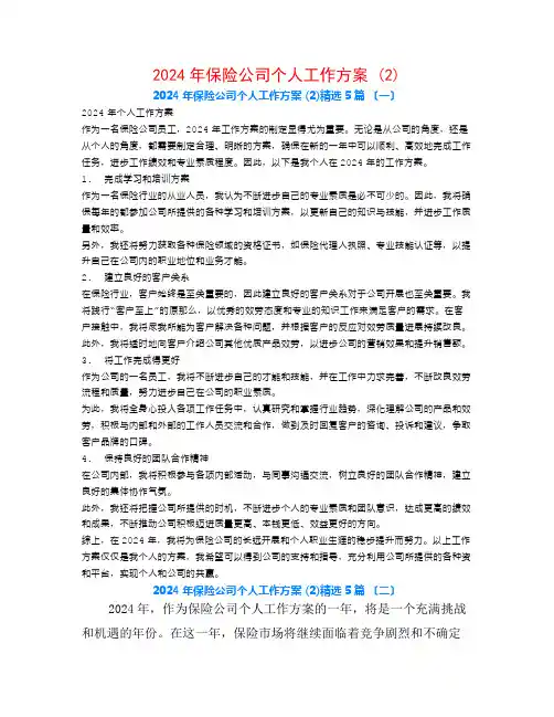 2024年保险公司个人工作计划 (2)5篇