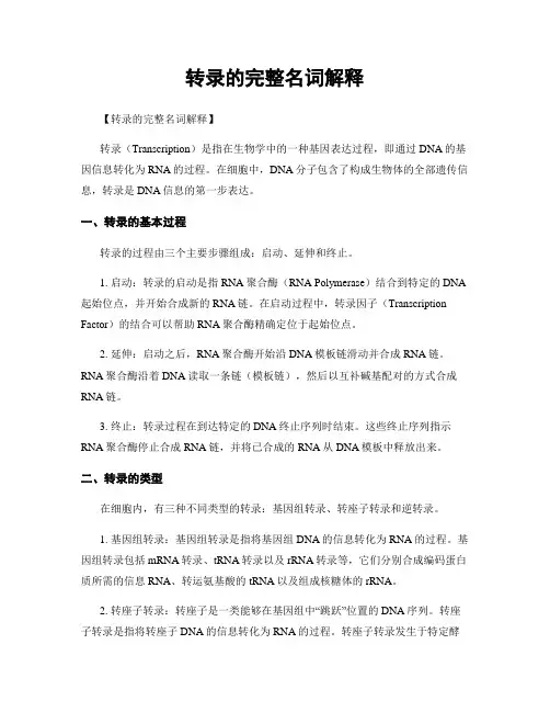 转录的完整名词解释