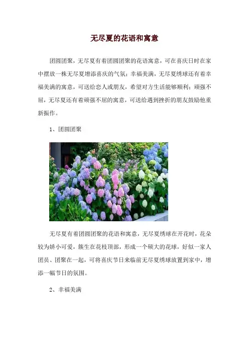 无尽夏的花语和寓意
