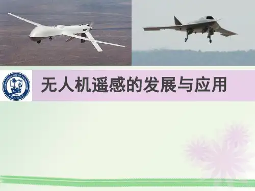 无人机遥感