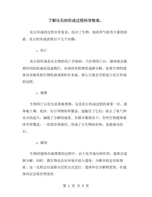 了解化石的形成过程科学教案