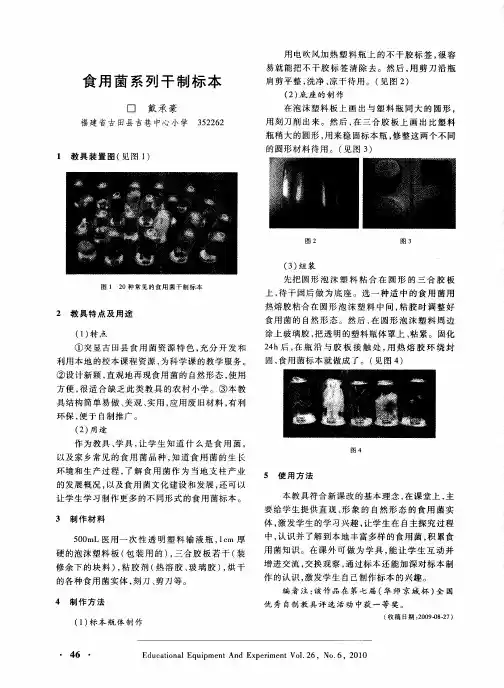 食用菌系列干制标本