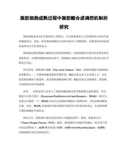 脂肪细胞成熟过程中脂肪酸合成调控机制的研究