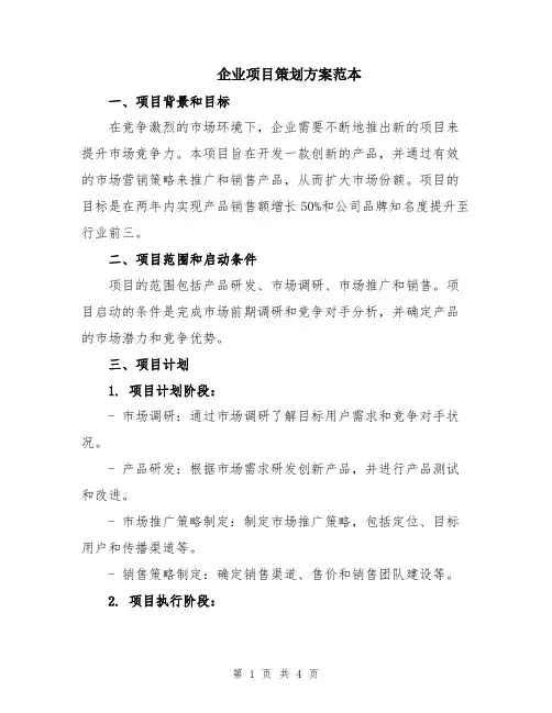 企业项目策划方案范本