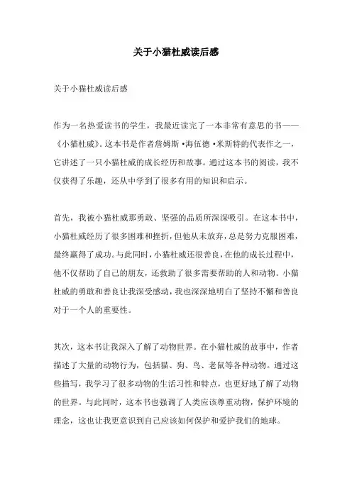 关于小猫杜威读后感