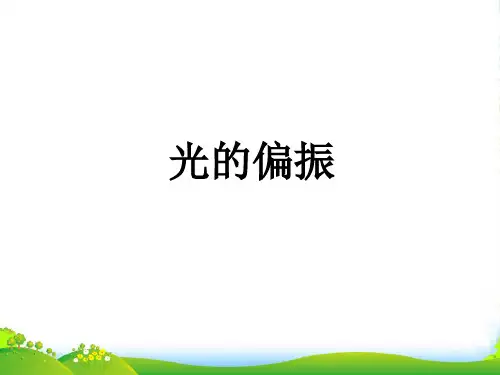高中物理选修34课件：13.6偏振+(共14张PPT)