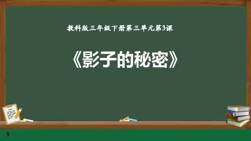 3.3《影子的秘密》课件三年级科学下册教科版