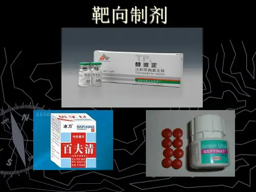 靶向制剂