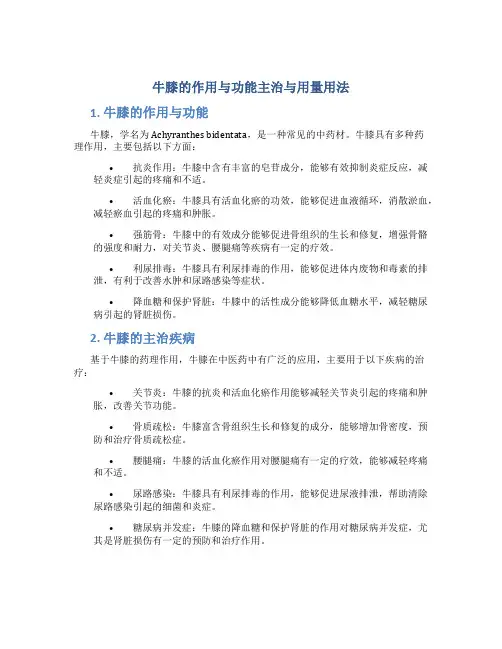 牛膝的作用与功能主治与用量用法