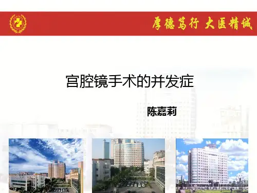 宫腔镜手术的并发症及护理措施  ppt课件