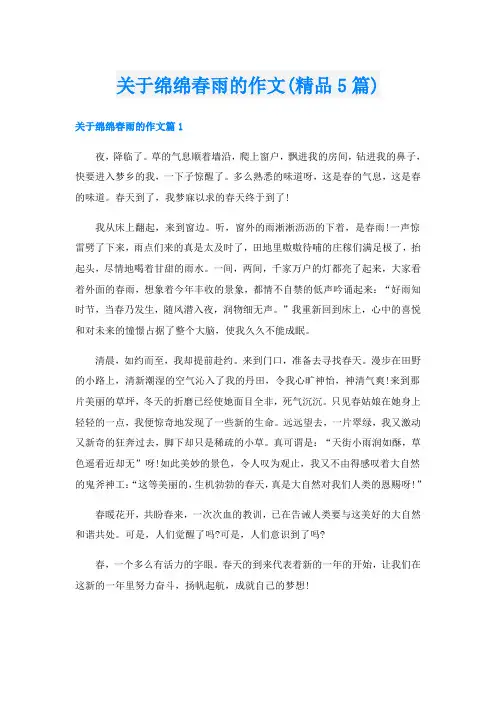 关于绵绵春雨的作文(精品5篇)