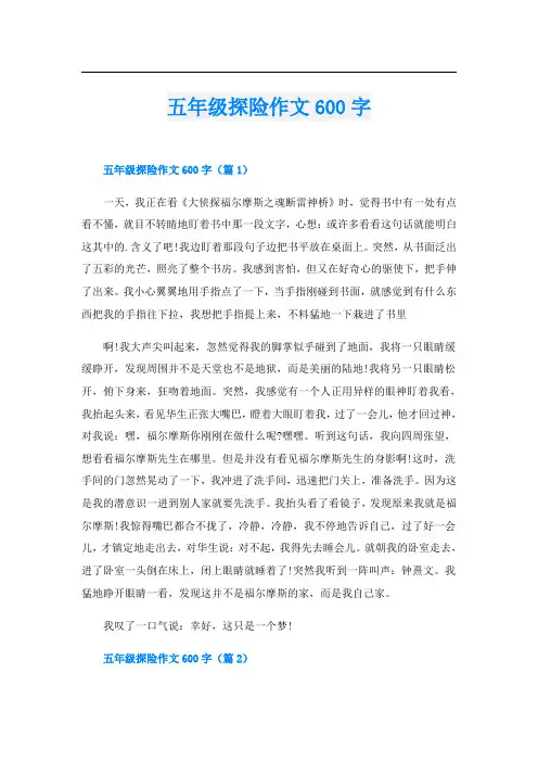 五年级探险作文600字