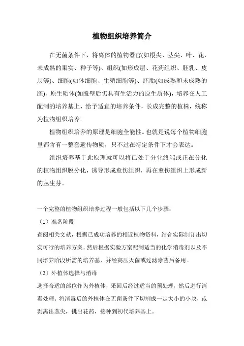 植物组织培养简介及流程图