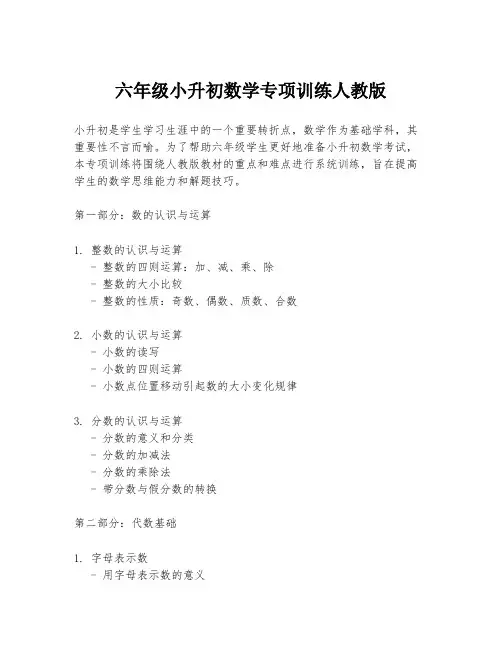 六年级小升初数学专项训练人教版