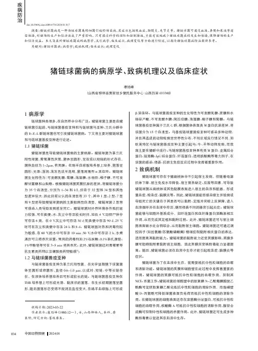 猪链球菌病的病原学、致病机理以及临床症状
