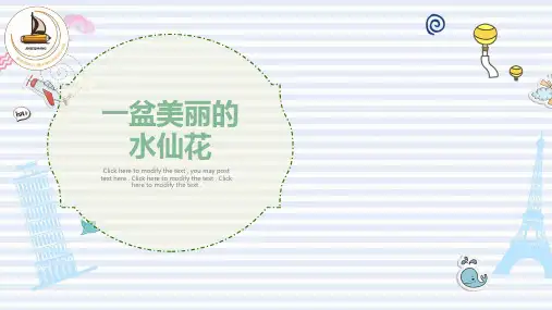 少儿美术教学PPT课件：一盆水仙花