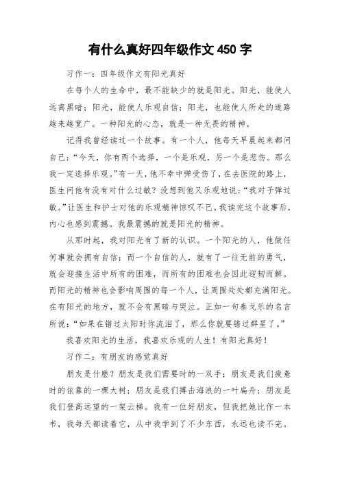 有什么真好四年级作文450字_作文