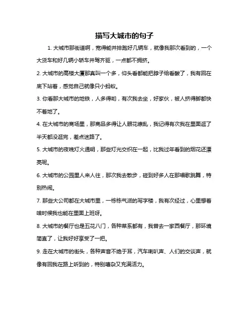 描写大城市的句子