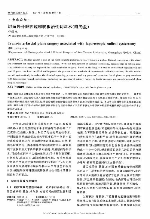 层面外科腹腔镜膀胱根治性切除术(附光盘)