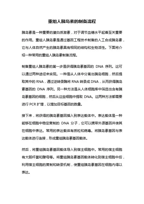 重组人胰岛素的制备流程