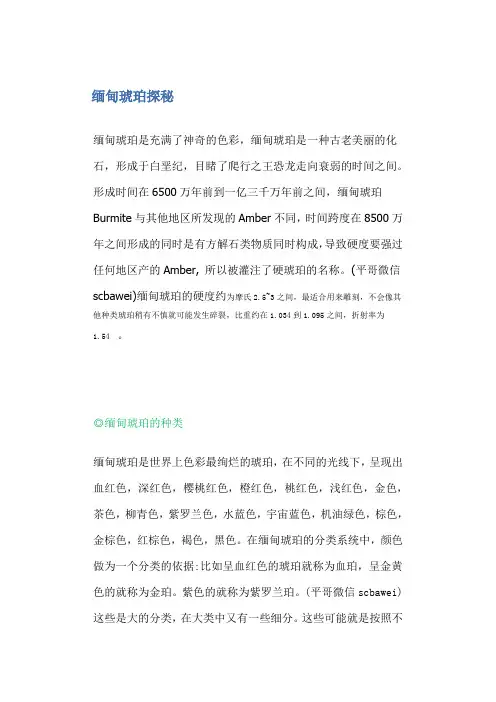 缅甸琥珀探秘(图文)