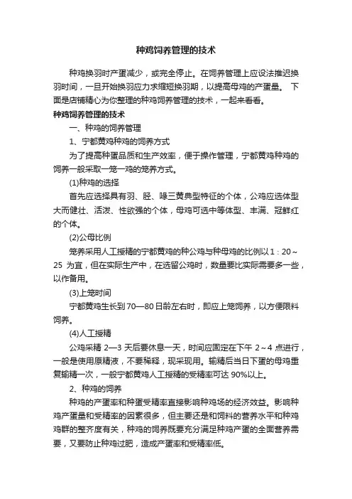 种鸡饲养管理的技术