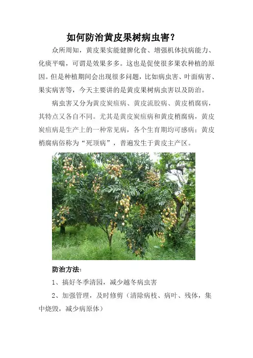 怎么防治黄皮果树病虫害—力源方案来解决