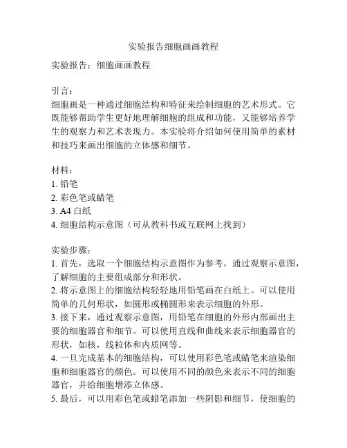 实验报告细胞画画教程