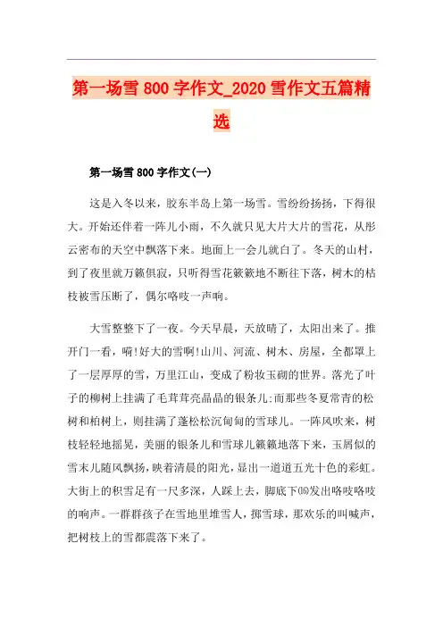 第一场雪800字作文_雪作文五篇精选