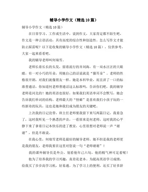 辅导小学作文(精选10篇)